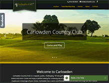 Tablet Screenshot of carlowden.com